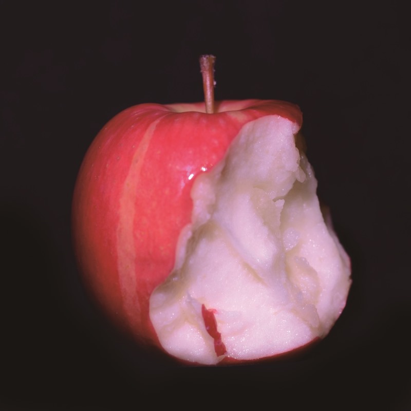 임용현, Apple Consume, 2019, Mixed media, 50x50x20cm, 5pieces.jpg