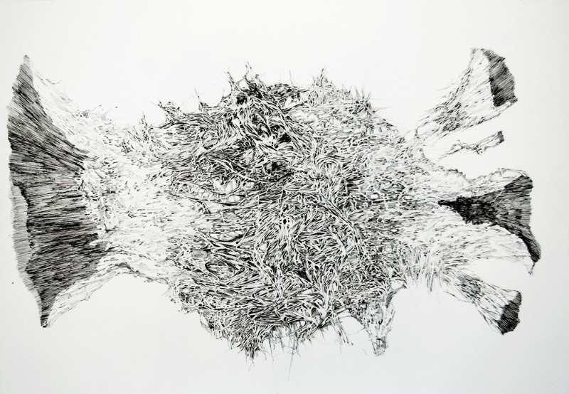 3. decompse 94x65 cm, ink on paper, 2014.jpg