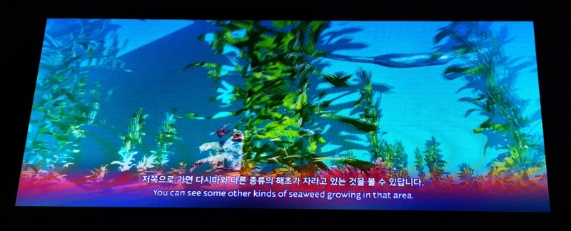 ACC반디산책.미디어파사드.미디어월.20220913-3.jpg