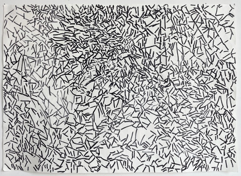 park4-0, Landscape22, 42x59cm, Ink on Paper, 2022.jpg