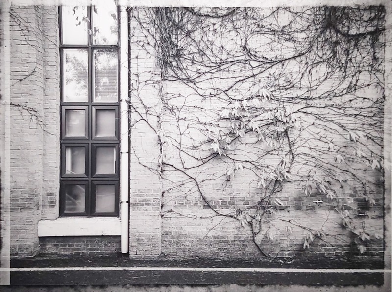 박일구,조선대의과대학본관,2025,digital print on photography paper,77x103cm.jpg