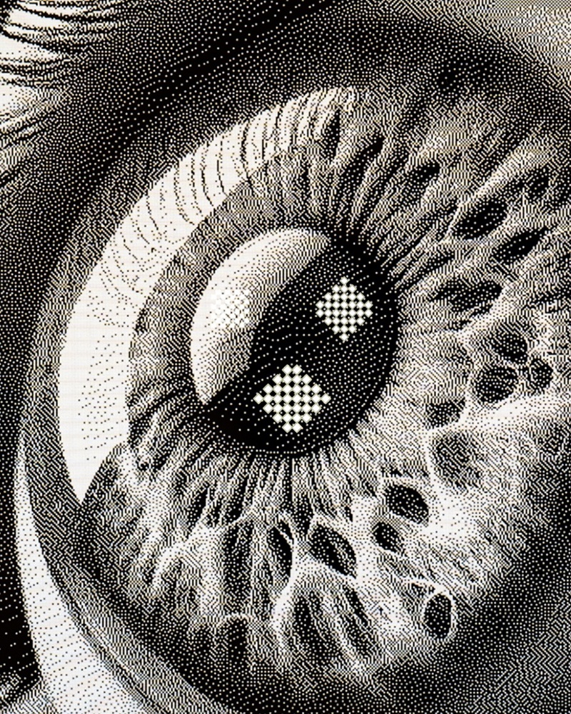 윤태준, 《Gaze》, 2025, Print on paper, 125×100cm.jpg