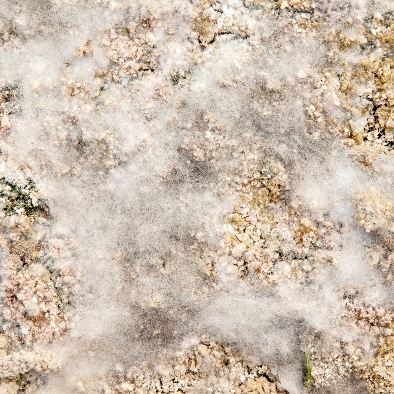 문선희, 11800_03,2015, 50x50cm, c-print.JPG