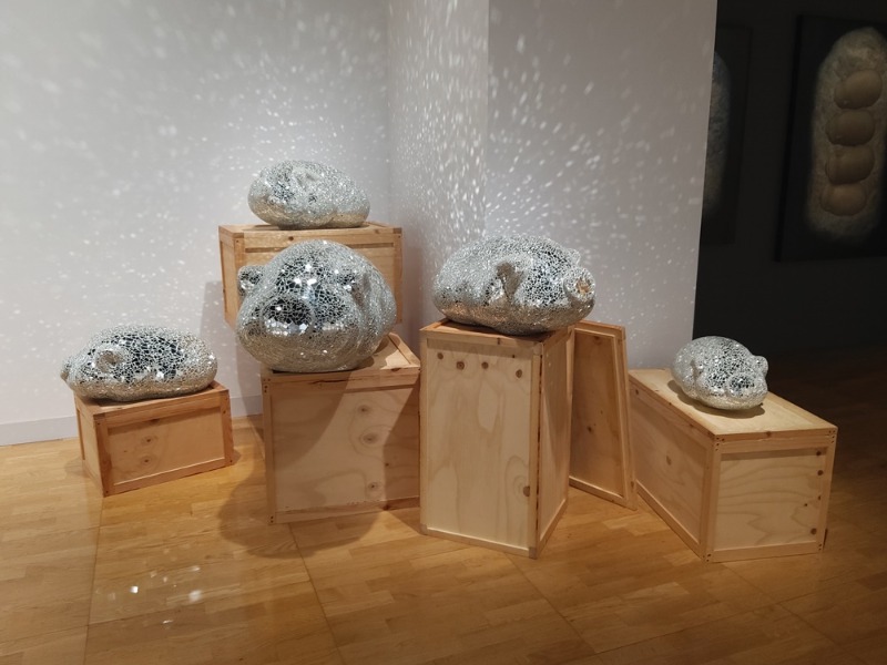 이정기,Piggybank,2019,거울,목재.jpg
